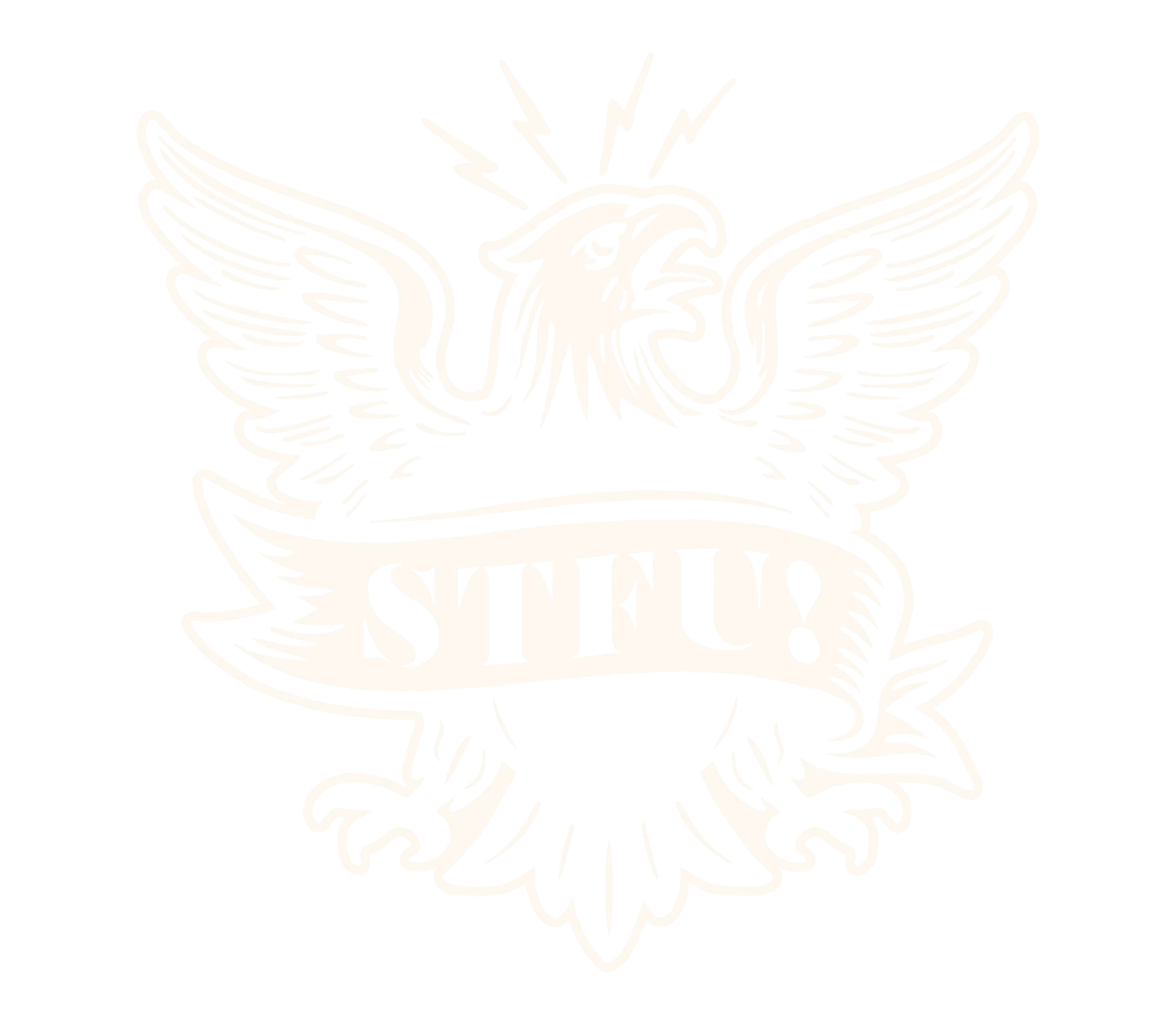 STFU PAC logo